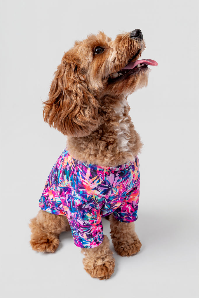 lelosi camiseta lelopet alasie 0